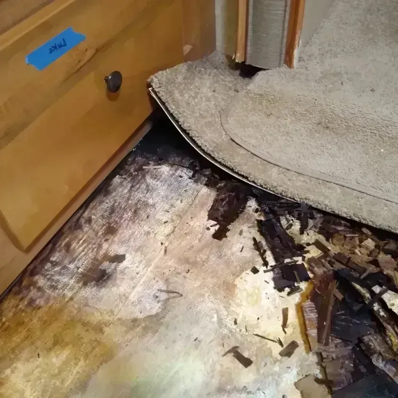 Wood Floor Water Damage in Murray County, OK